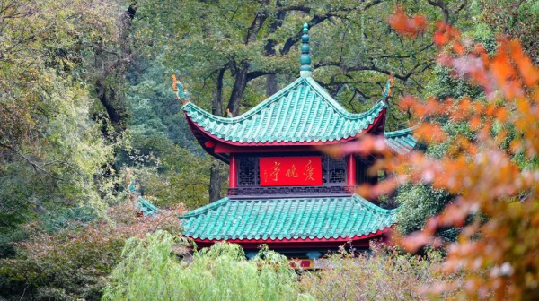 �������ʹ���-׷�󿵽�,����һ������