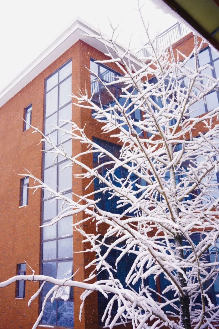 �������ʹ���-׷�󿵽�,����һ������