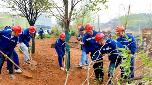 ���ֲ���ڣ�����������������ֲһĨ���̣���������������������ɫδ��������