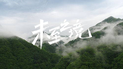 ��������:66856top�з�ר��Ƭ��δ��֮����