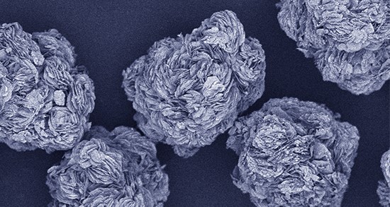 �Ƶ�ǰ����